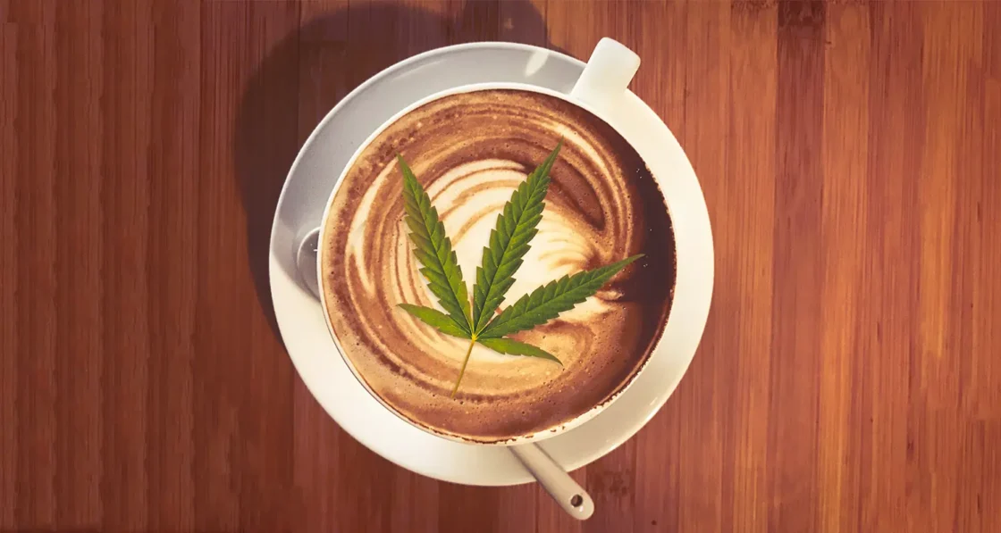 How to Make the Best CBD Coffee Using CBD Oil: A 2024 Step-by-Step Guide
