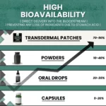 Ashwagandha KSM-66 Patches Stronglife Transdermal Patches Ashwagandha High Bioavailability