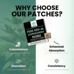 Ashwagandha KSM-66 Patches Stronglife Transdermal Patches Why Choose Our Ashwagandha Patches