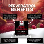 Resveratrol UK Patches Stronglife Transdermal Patches Resveratrol Benefits