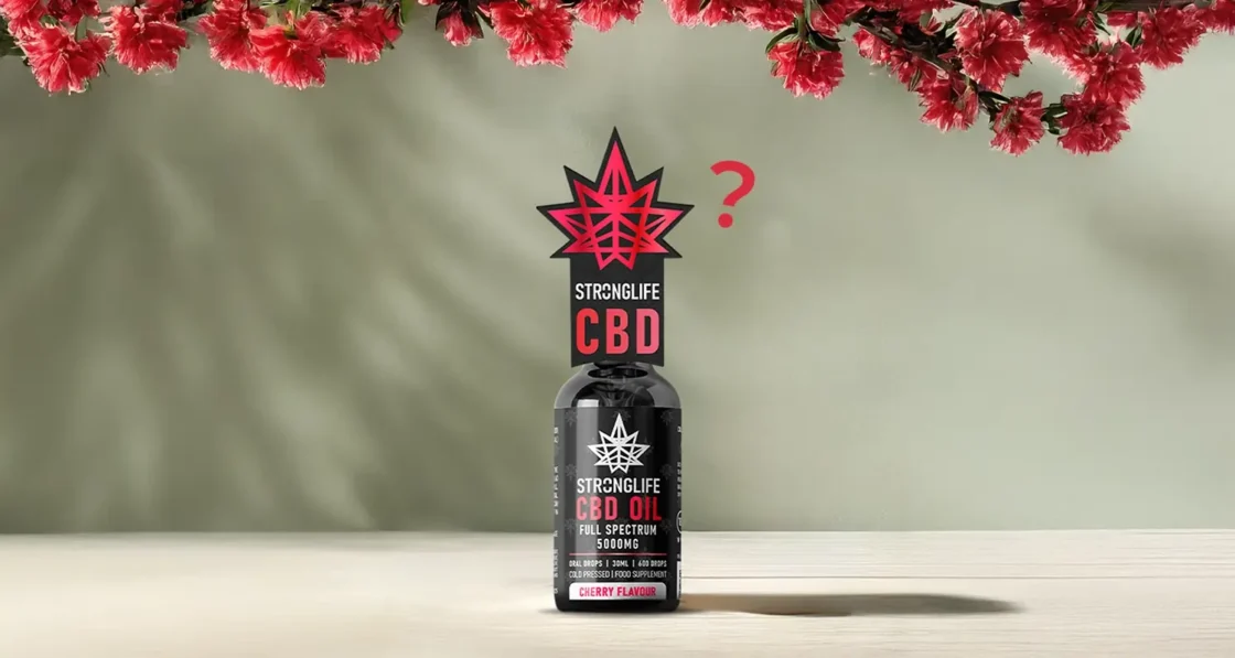 How Does CBD Work?