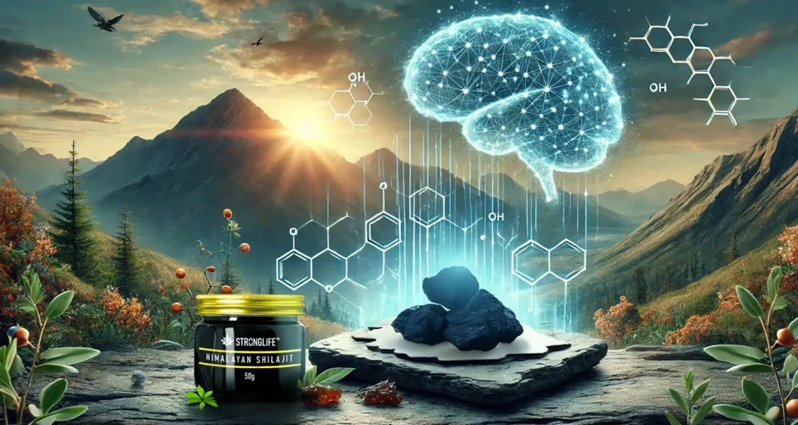Does Shilajit Improve Cognitive Function?