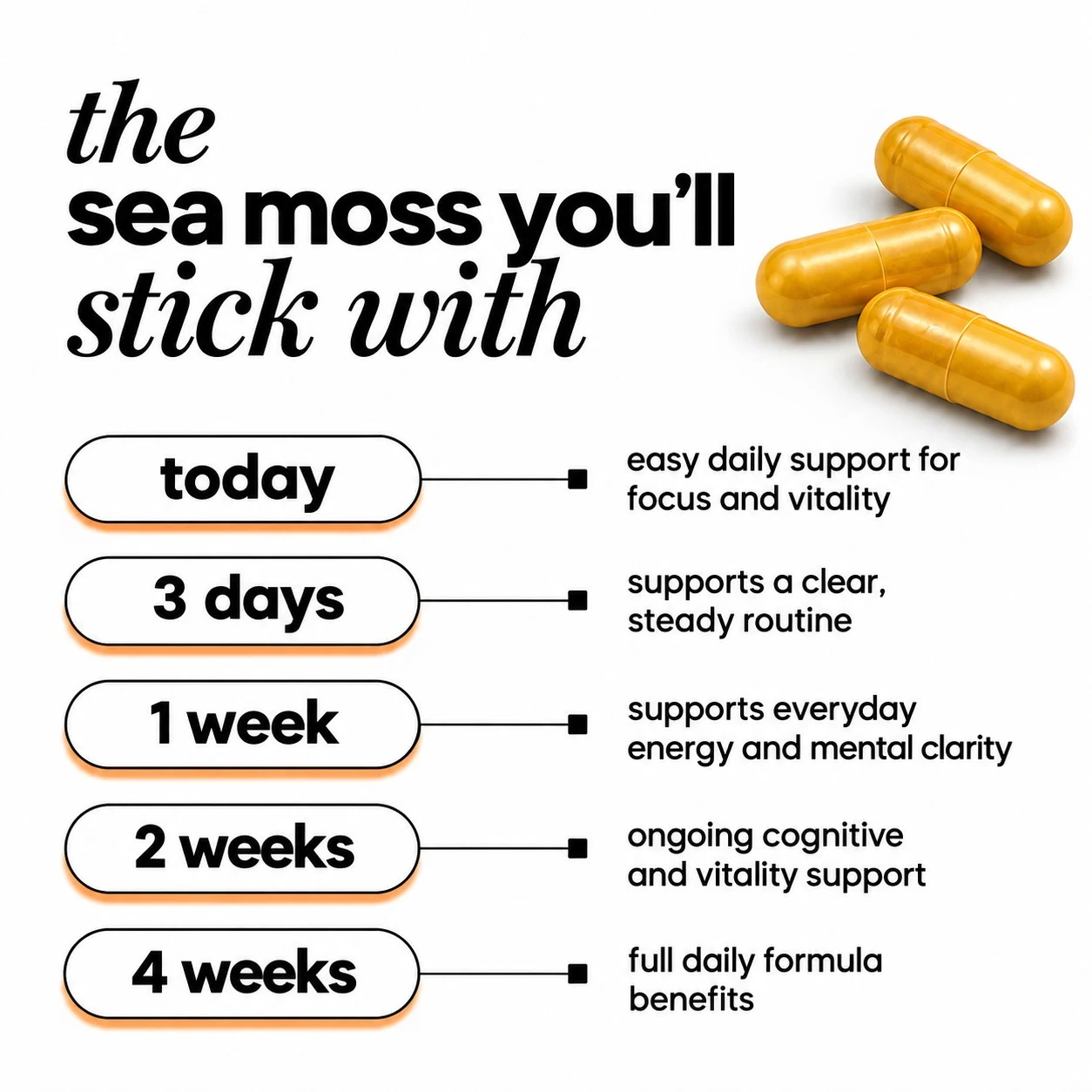 shilajit-sea-moss-and-lions-mane-capsules-with-apple-cider-vinegar-benefits