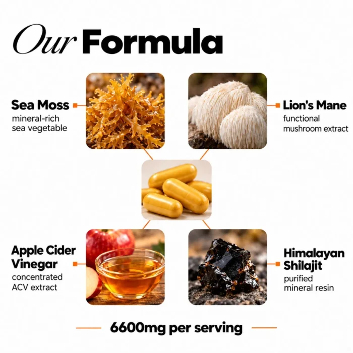 shilajit-sea-moss-and-lions-mane-capsules-with-apple-cider-vinegar-ingredients