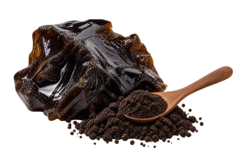 Himalayan shilajit specimen