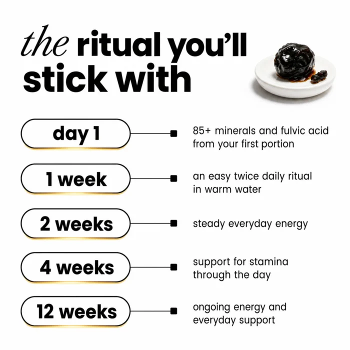 organic-himalayan-shilajit-resin-benefits